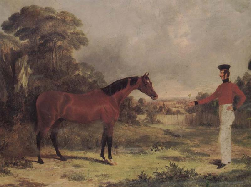  The Man and horse